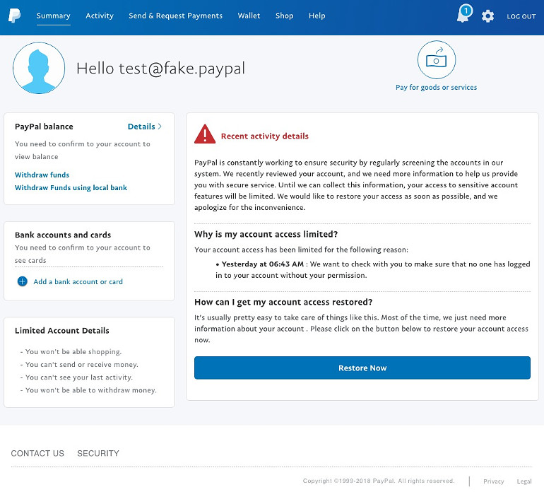 Fake Paypal webpage #3 - Recent activity details